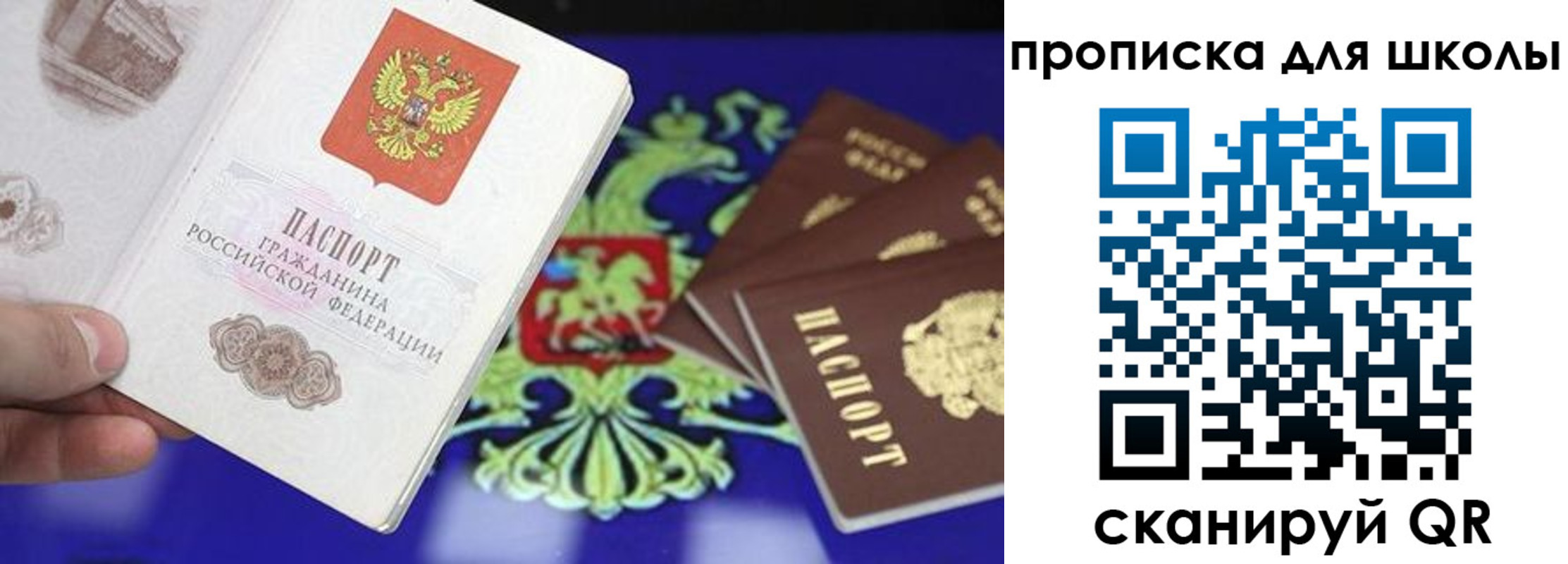 прописка в квартире в Палласовке