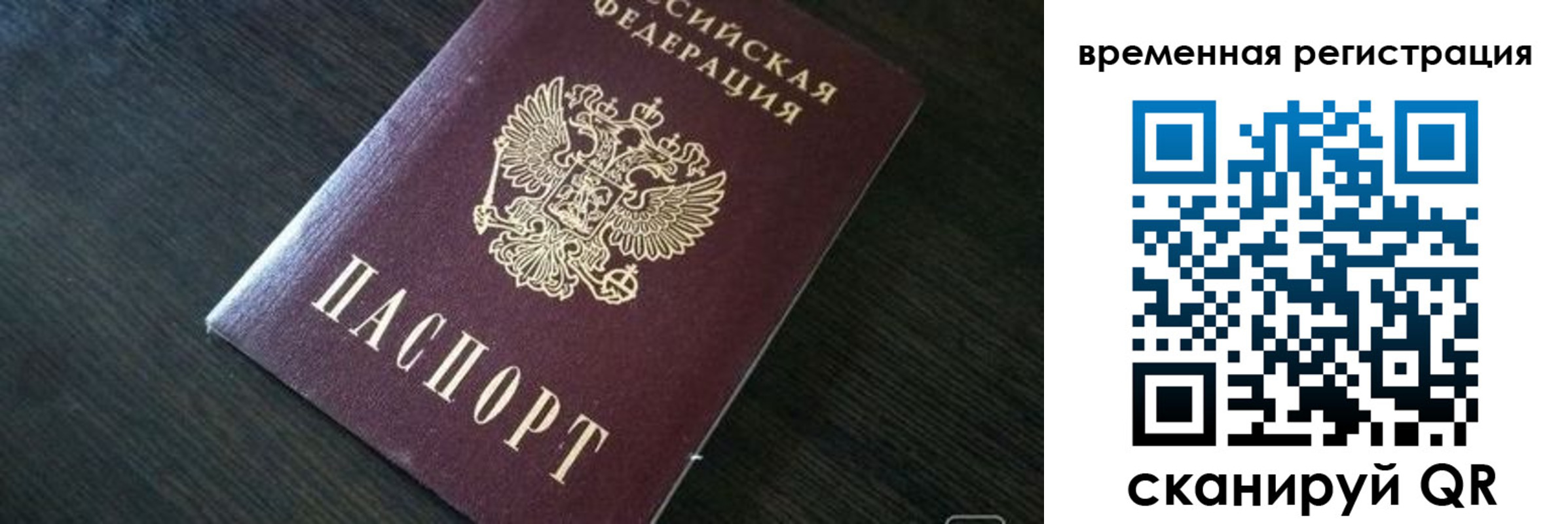 прописка штамп в Палласовке