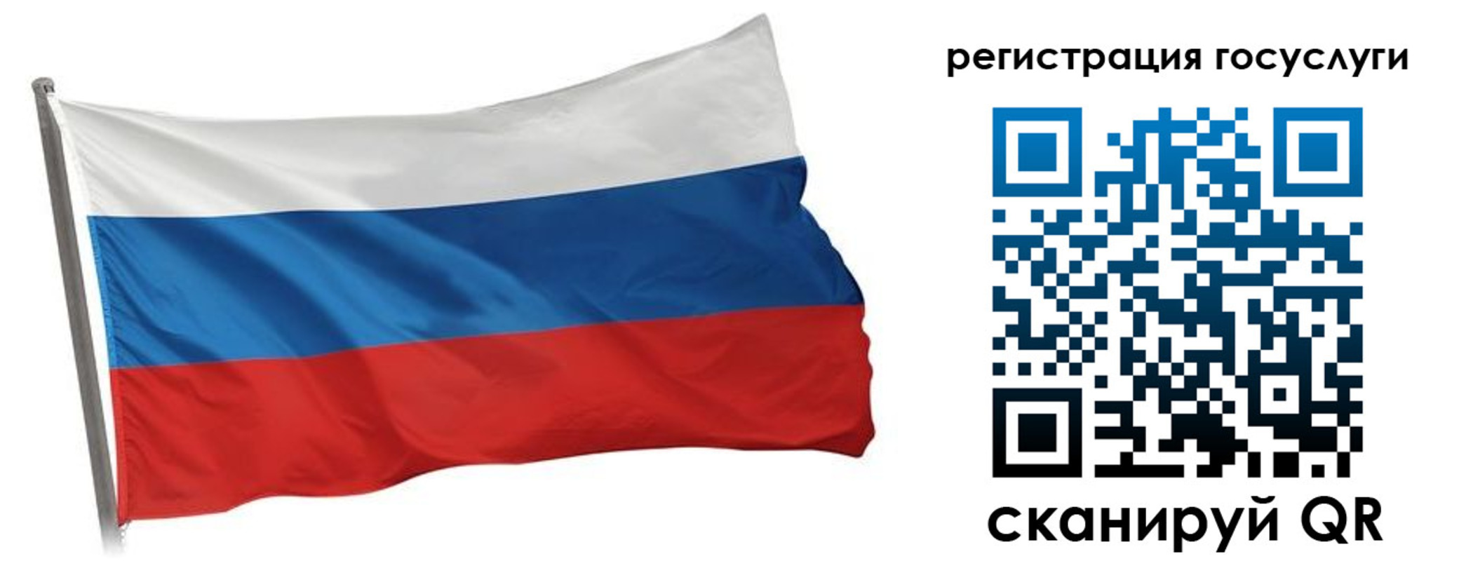 прописка штамп в Палласовке